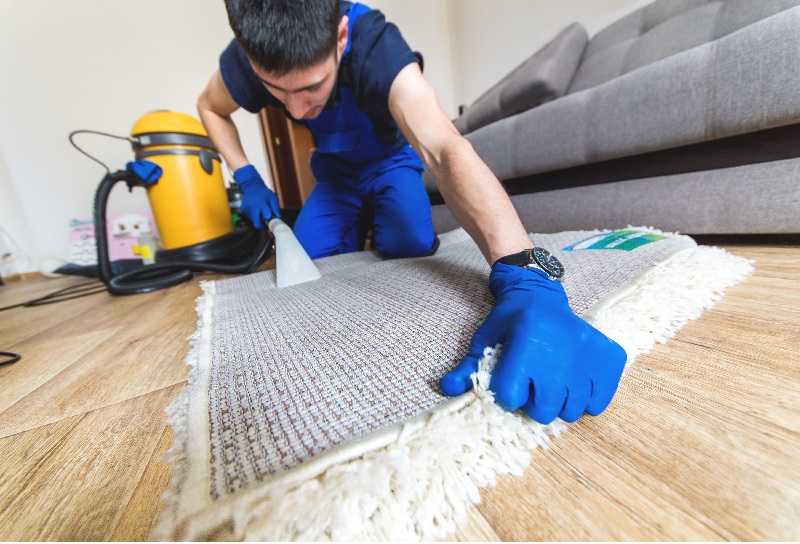 carpet cleaning