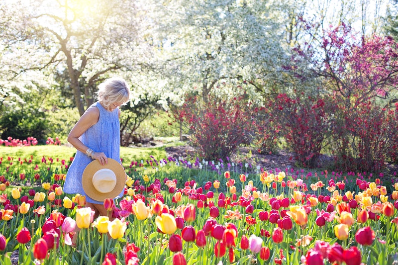 Eatable Blossoms