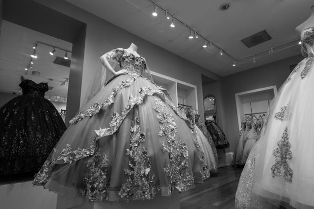 Designer Gowns for Women